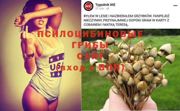 метадон Дмитриев