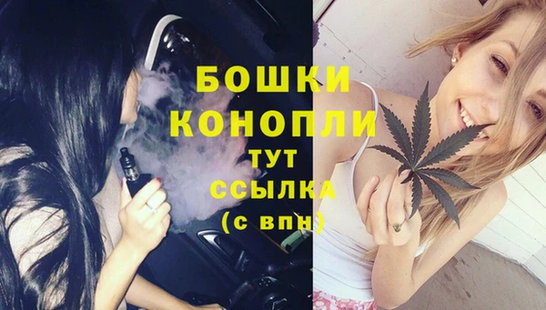 ешки Дмитровск