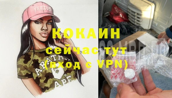 ешки Дмитровск
