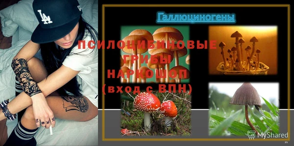 метадон Дмитриев