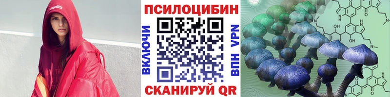 Псилоцибиновые грибы Psilocybine cubensis  площадка наркотические препараты  Заволжье  где найти  