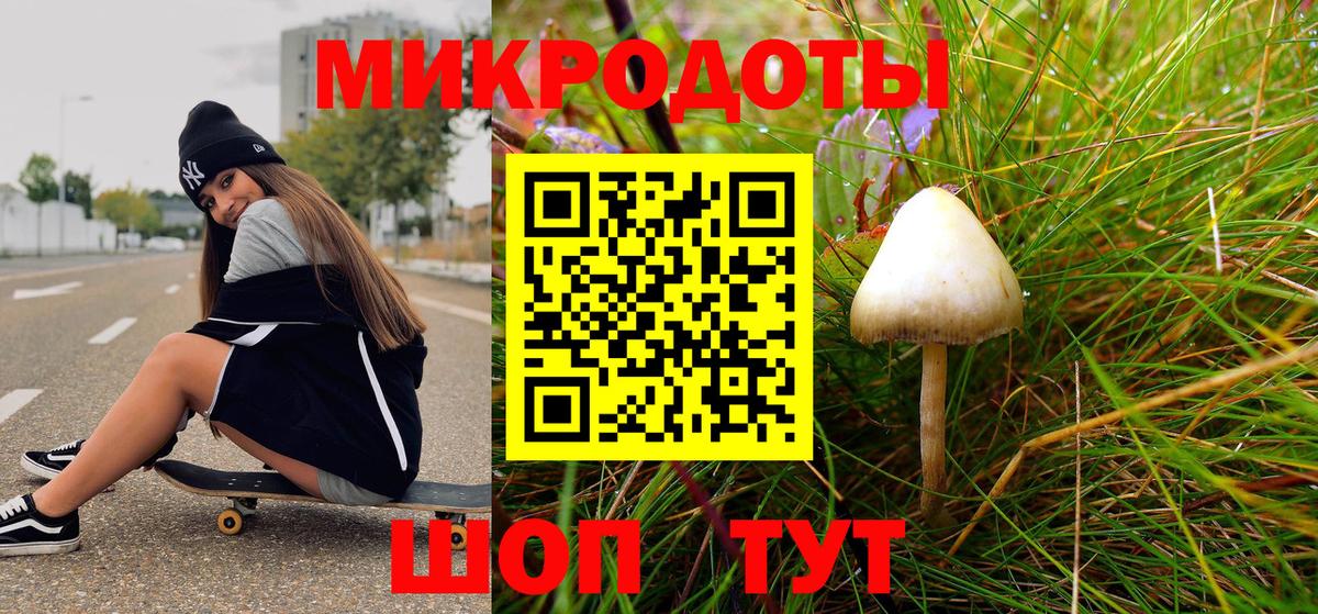 Галлюциногенные грибы Magic Shrooms Заволжье
